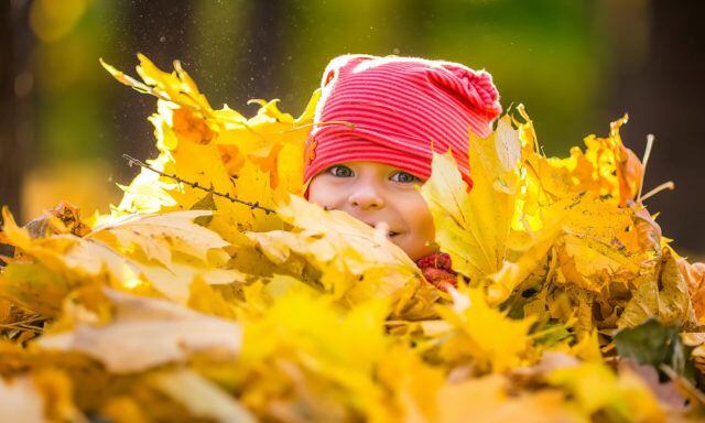herbstkind
