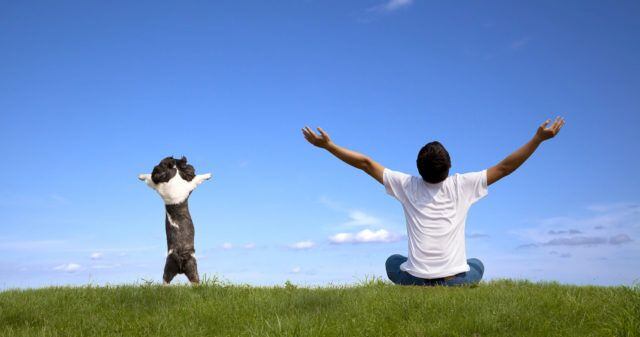 COUNSELING + SUPPORT